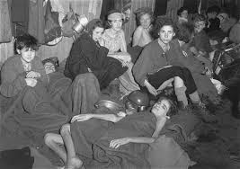 Typhus and Mortality in Nazi Concentration Camps